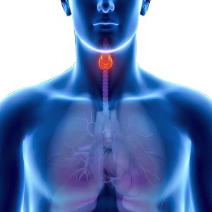 Endokrinolojik Hastalıklar Nelerdir Nasıl Tedavi Edilir