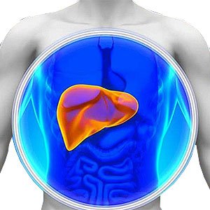 Metabolik Rahatsızlıklar Hastalıklar Nelerdir