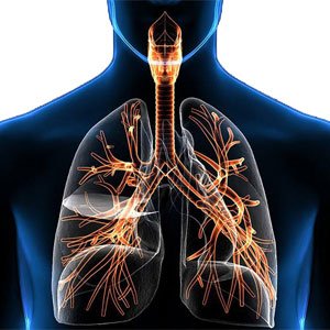 Solunum Sistemi Rahatsızlıkları Ve Hastalıkları Nelerdir