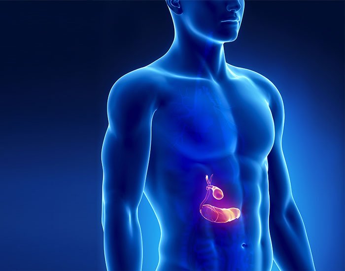 Safra Kesesi Nerede Taşı Nasıl Oluşur