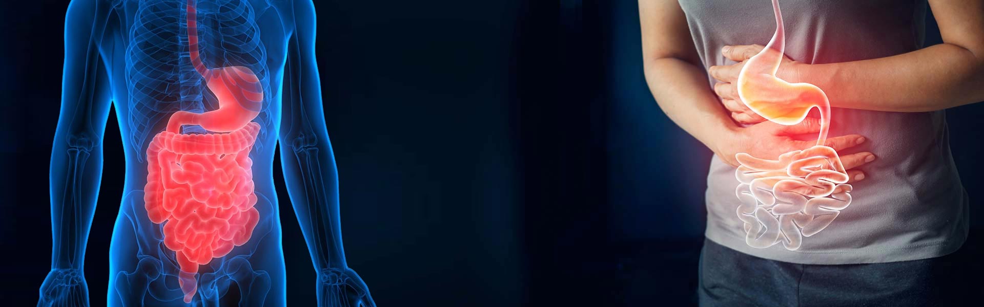 Sindirim Sistemi Hastalıkları Tedavisi Konya