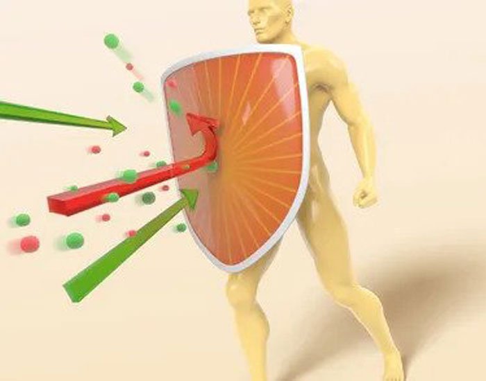 Bağışıklık Sistemi Güçlendirici Besinler