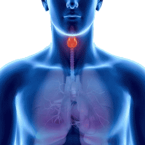 Endokrinolojik Hastalıklar Nelerdir