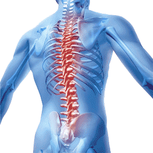 Ortopedik Hastalıklar ve Rahatsızlıkların Tedavileri